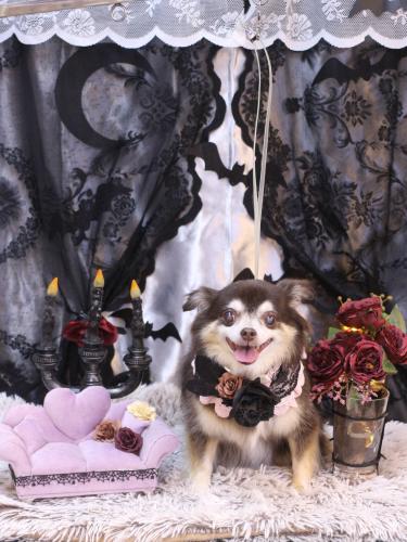 20231025ちゃこちゃん